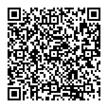 73822287011