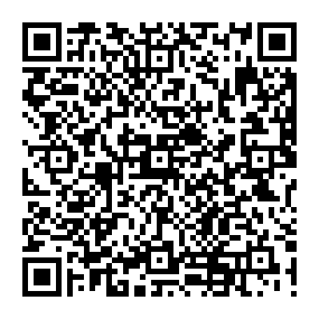 74823229538