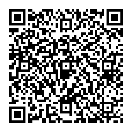 74991166833