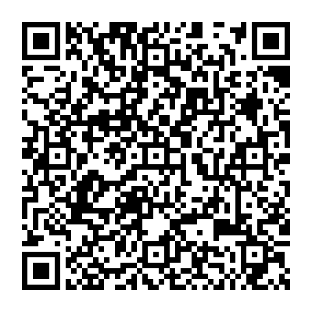 74991808856