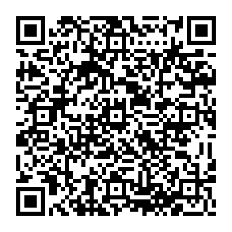 74991880831