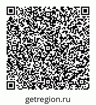 78062010411