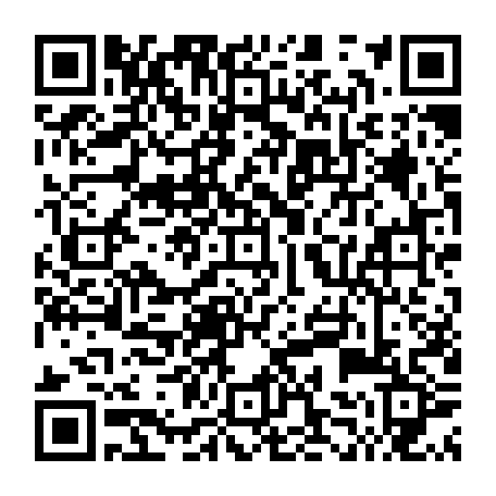 78072010381