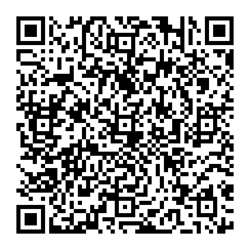 78202517538