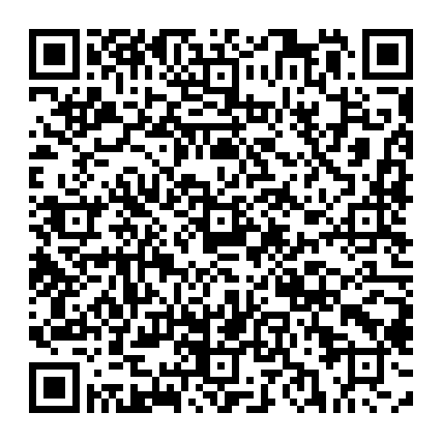 78453999411