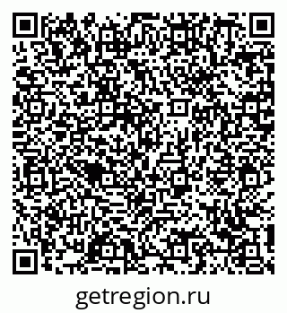 78489177540