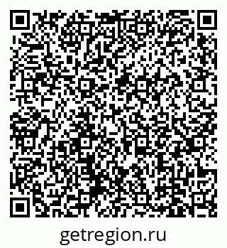 78489177541