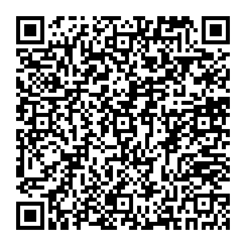 78619520981