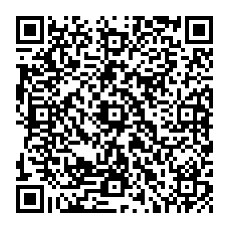 78722955856