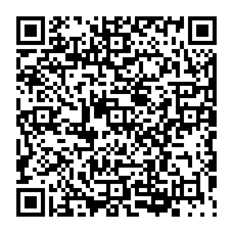 79003300838