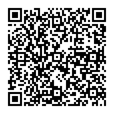 79004715295