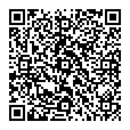 79019376651