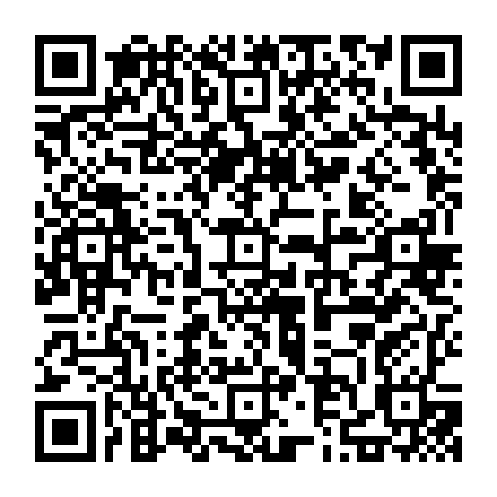 79019377641