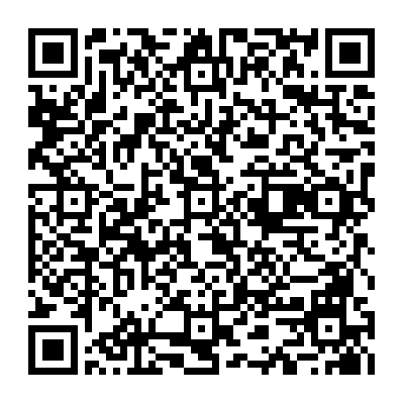 79019561941