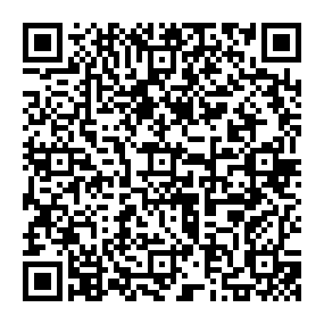 79019650241