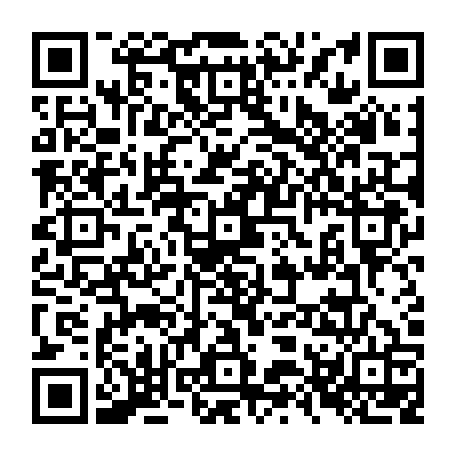 79020373817
