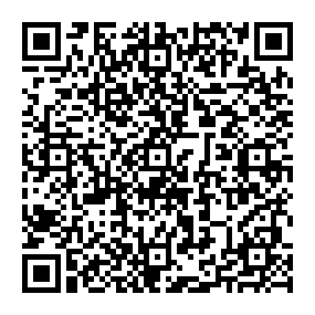 79033049229