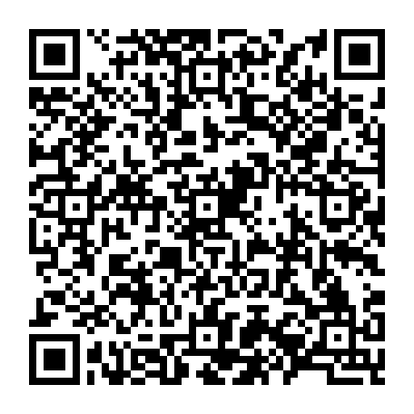 79033300529