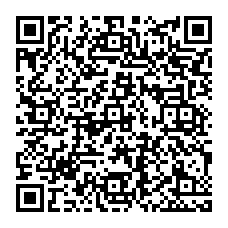 79033700499