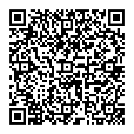 79033800217