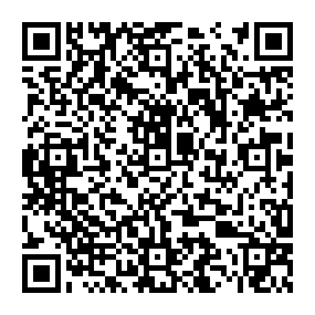 79039281677