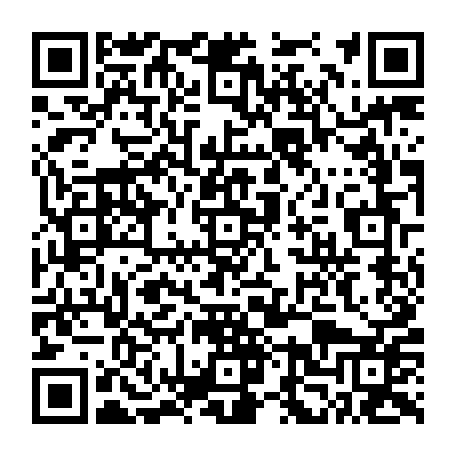 79039504856