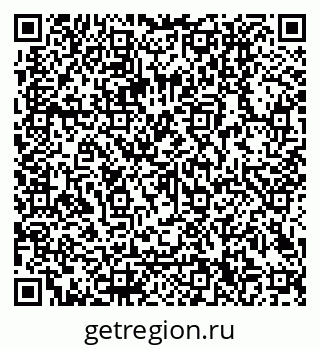 79040300411