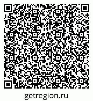 79040300536