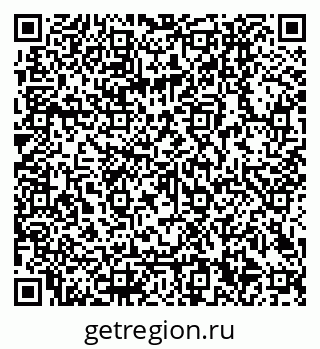 79040300538