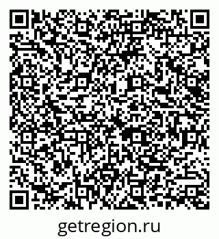 79040300558