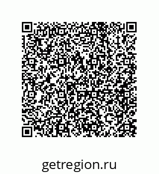 79040400491