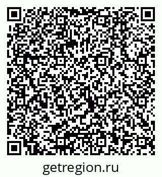 79040800408