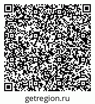 79040800411