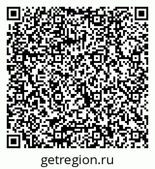 79040800497