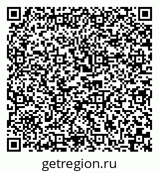 79040800519