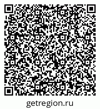 79040800528