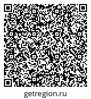 79040800538