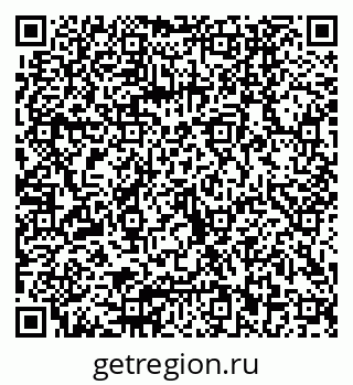 79040802029