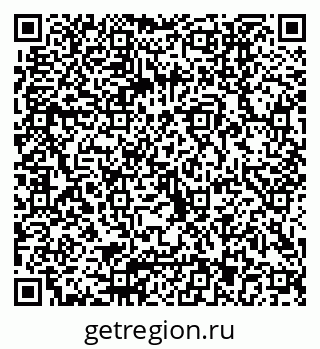 79040803681