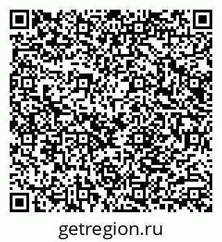 79040804029