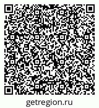 79040804113