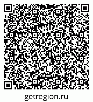 79040804241