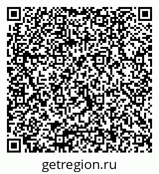 79040804384