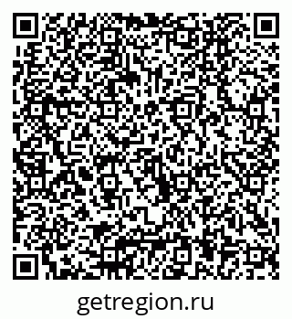 79040804478