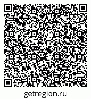 79040804955