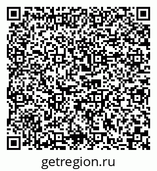 79040805411