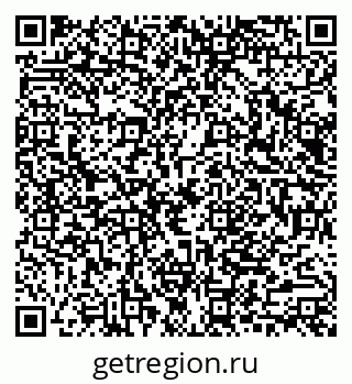 79040815295