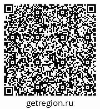 79040820234
