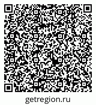 79040820558
