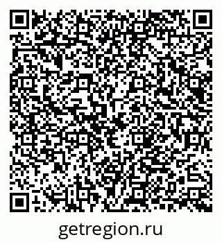 79040822981